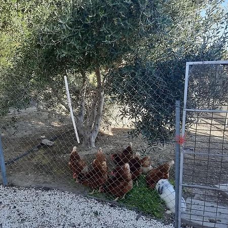Happy Glamping Cy Villa Agios Theodoros Kültér fotó