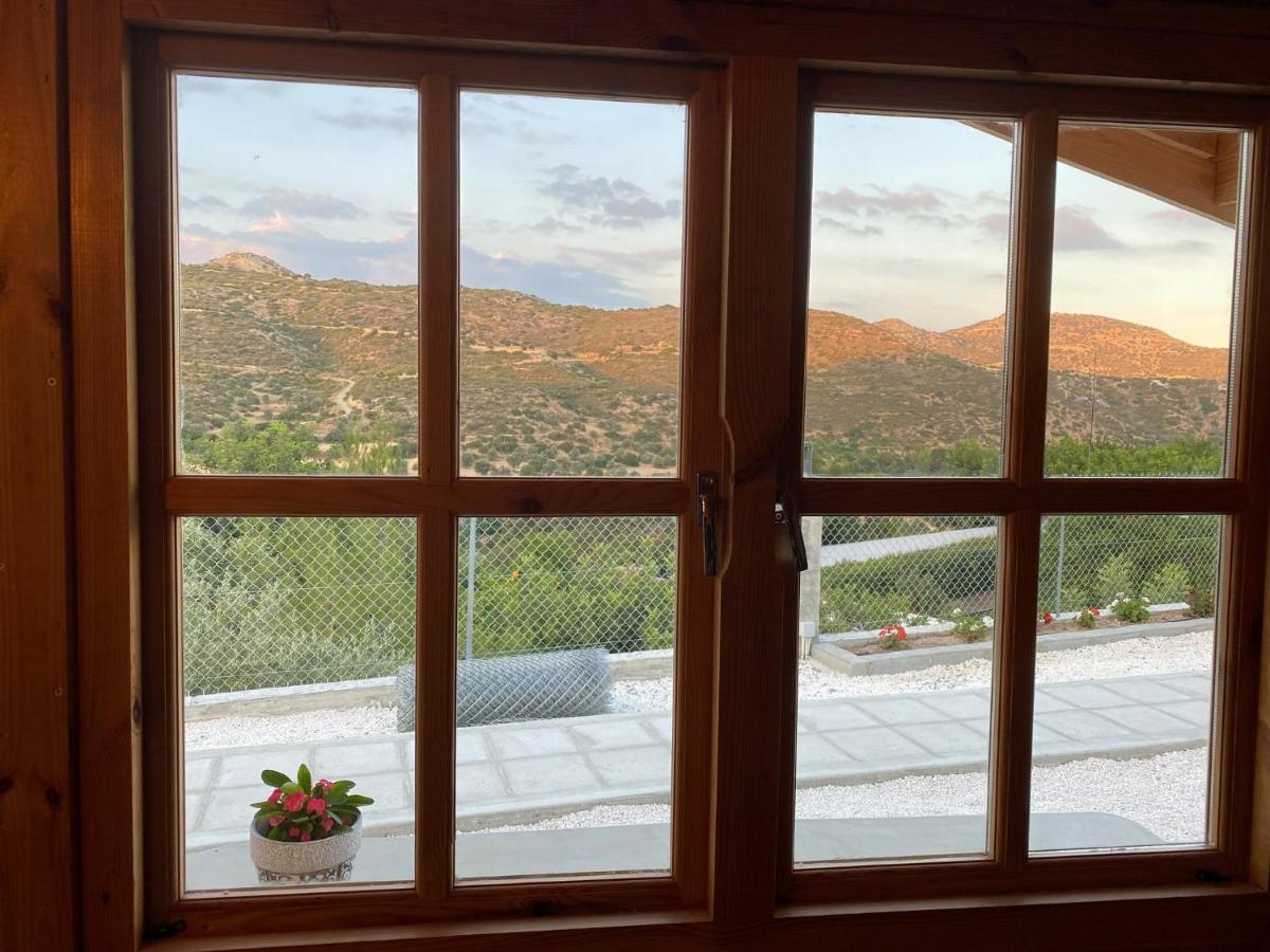 Happy Glamping Cy Villa Agios Theodoros Kültér fotó