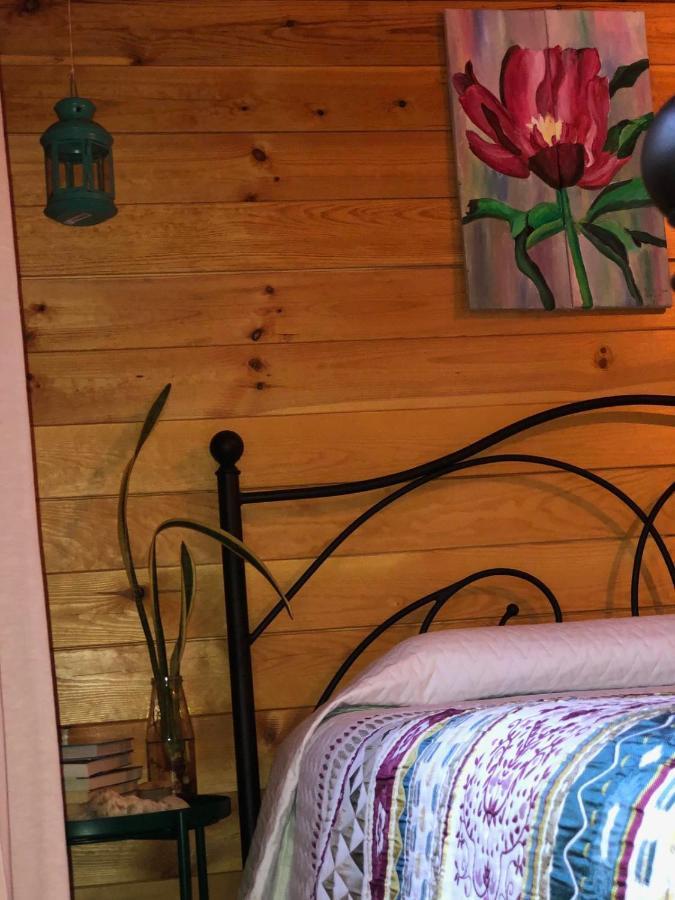 Happy Glamping Cy Villa Agios Theodoros Kültér fotó