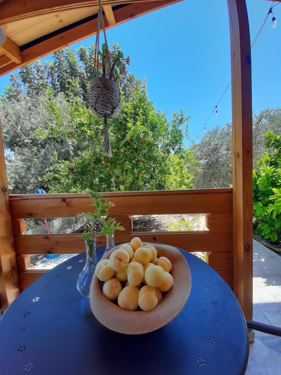 Happy Glamping Cy Villa Agios Theodoros Kültér fotó